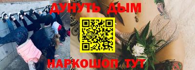 мяу мяу мука Новозыбков