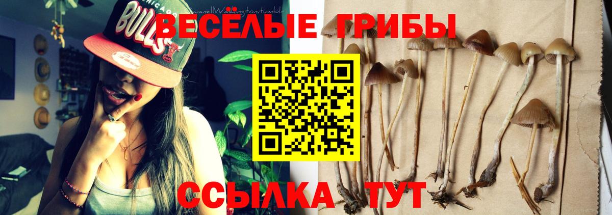Псилоцибиновые грибы GOLDEN TEACHER Новый Уренгой
