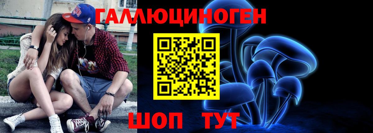 Псилоцибиновые грибы мицелий  Вход с VPN  Новый Уренгой 